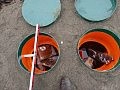 small_img